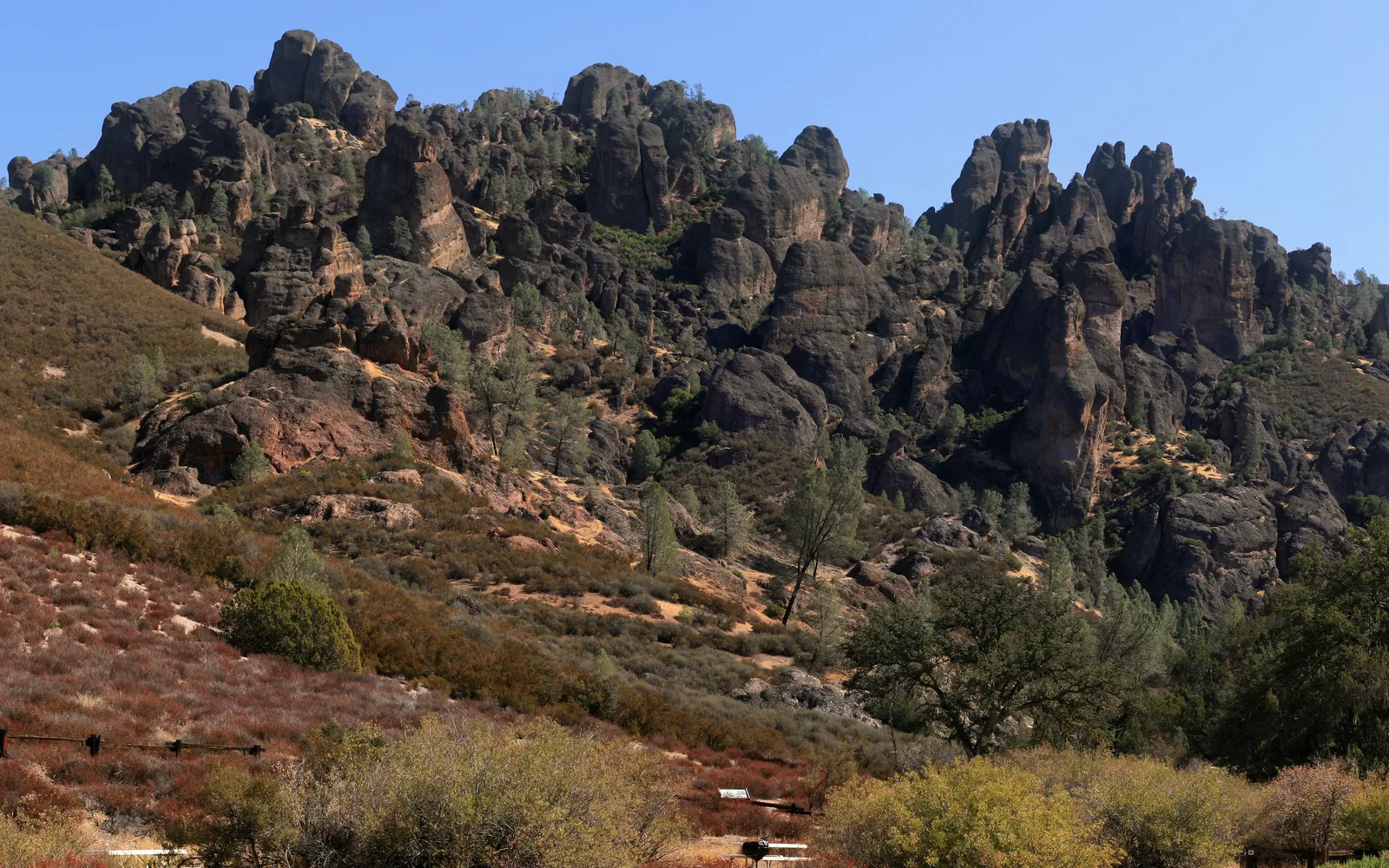 Rocky volcanic spires and formations at Pinnacles National Park with desert vegetation visible between the distinctive rock outcroppings
